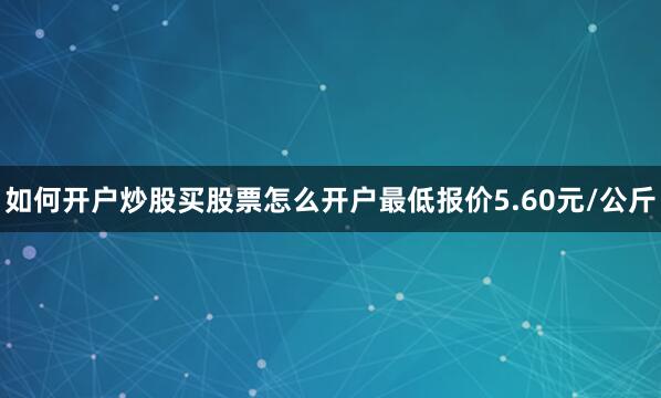 如何开户炒股买股票怎么开户最低报价5.60元/公斤