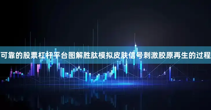 可靠的股票杠杆平台图解胜肽模拟皮肤信号刺激胶原再生的过程