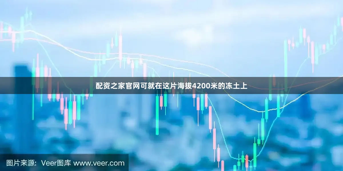配资之家官网可就在这片海拔4200米的冻土上