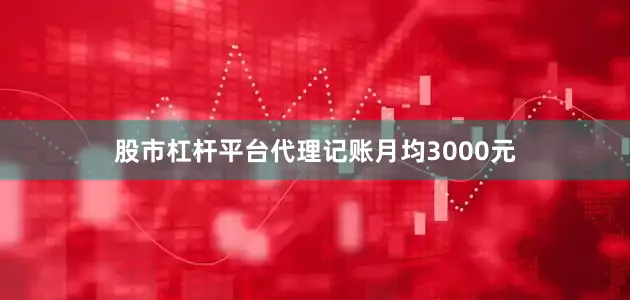 股市杠杆平台代理记账月均3000元