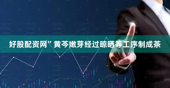 好股配资网”黄芩嫩芽经过晾晒等工序制成茶