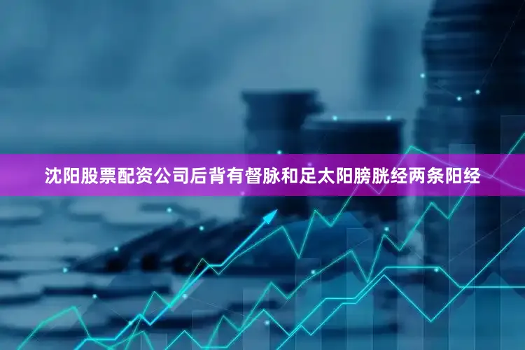 沈阳股票配资公司后背有督脉和足太阳膀胱经两条阳经