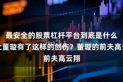最安全的股票杠杆平台到底是什么事让董璇有了这样的创伤？董璇的前夫高云翔
