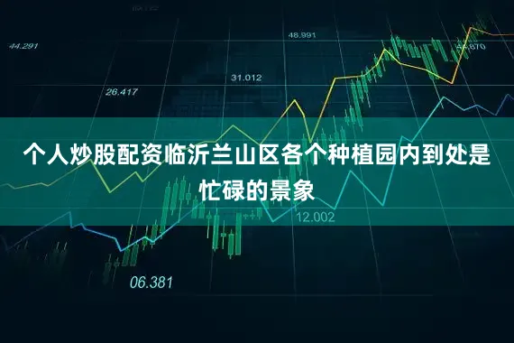 个人炒股配资临沂兰山区各个种植园内到处是忙碌的景象